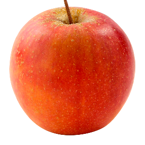 Domaine-darmandieu-variete-pomme-Galaxy Domaine Darmandieu, pomme Rubinette en vente et à cueillir