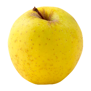 Domaine-darmandieu-variete-pomme-Golden Domaine Darmandieu, pomme Golden en vente et à cueillir